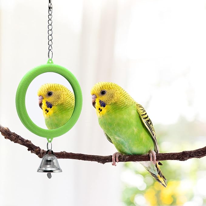 2PCS Bird Mirror with Bell Parrot Hanging Interactive Playing Toy for Cockatiel Parakeets Canaries Budgie Cage Accessories (Green)