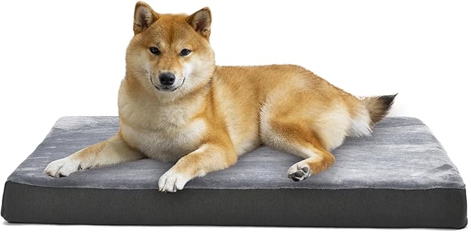 Amazon Basics Gel Foam Mattress Dog Pet Bed with Removable Cover, X-Large, Grey, 41"L x 29"W x 4"H