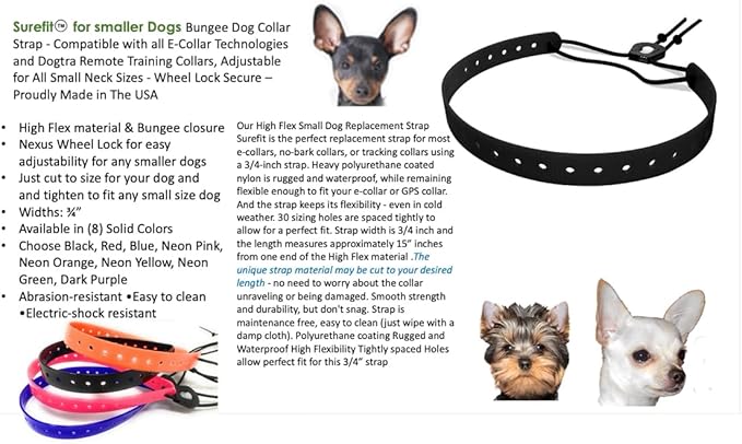 Replacement GPS eCollar with Adjustable Bungee, Multi-Hole Design, and Secure Toggle Closure for Small Dogs (Black, Small Neck)