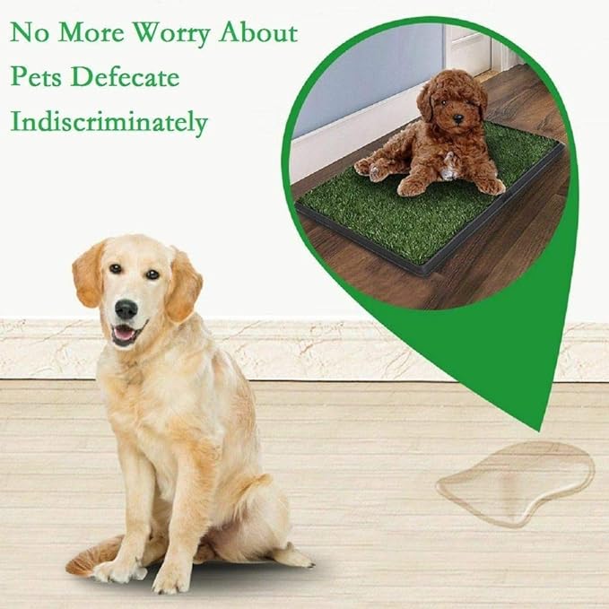 Dog Potty Tray Indoor Outdoor Washable Pee Pad for Dogs, 3 Layered System Dog Litter Box for Puppy Training (30 x 20 Grass with Tray)