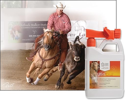 UltraCruz Veterinary Liniment Wash for Horses, 32 oz with Travel Spray