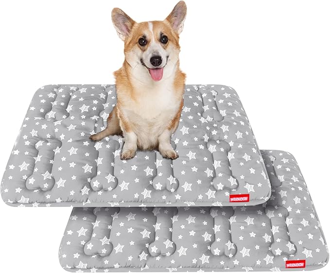 Dog Crate Mat (30" X 19") 2 Pack, Soft Dog Bed Mat with Cute Prints, Personalized Dog Crate Pad, Anti-Slip Bottom, Machine Washable Kennel Pad, Grey