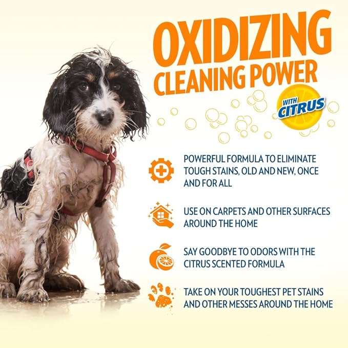 OUT! PetCare Orange Oxy Stain & Odor Remover | Oxy Clean Pet Stain and Odor Eliminator | 32 oz