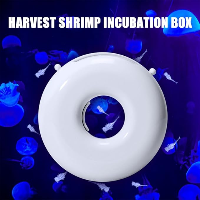 Brine Shrimp Hatchery Box, Mini Brine Shrimp Incubator Automatic Fish Feeder for Saltwater Fish Tank Jellyfish Tank (2.4 * 2.4")