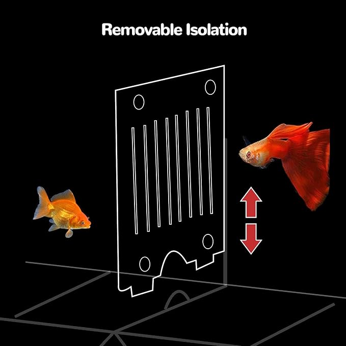 J-star Large Fish Breeder Box, Acrylic Aquarium Breeder Box, Fish Isolation Box for Betta, Guppy, Killifish, Shrimp, Clownfish etc.