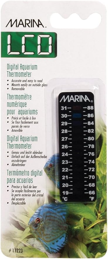 Marina " Diameterorado", 66 to 88 F / 19 to 31 C