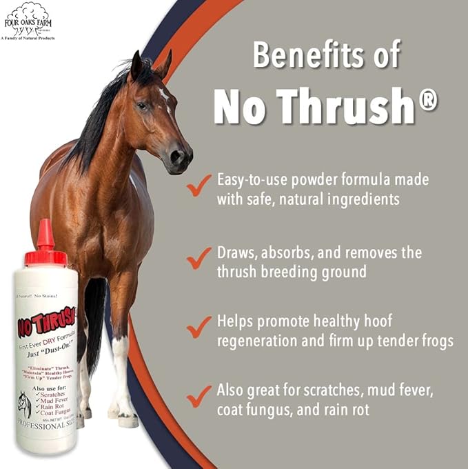 No Thrush Dry Powder Treatment for Horses - Wound Care, Scratches, Rain Rot, Mud Fever, Coat Fungus - All Natural Ingredients, Non-caustic, Easy to Use Powder Formula (10 oz)