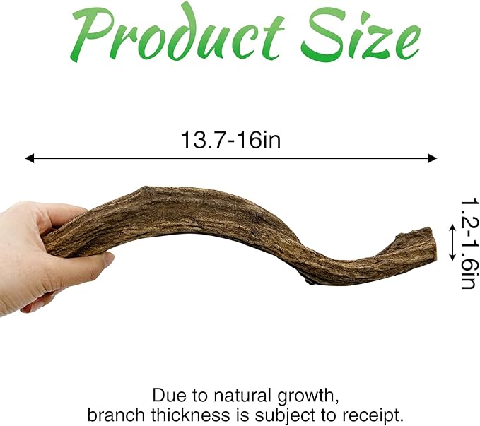 Reptile Climbing Branch Decor Wood Snake Terrarium Branches Lizard Habitat Decorations Wooden Tree Trunk Ornament for Bearded Dragon Geckos Chameleon Frog Pack of 4 (14-16 inch)