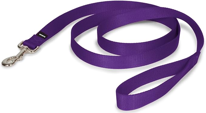 PetSafe Nylon Dog Leash – Strong, Durable, Traditional Style Leash with Easy to Use Bolt Snap – 1" x 6', Deep Purple