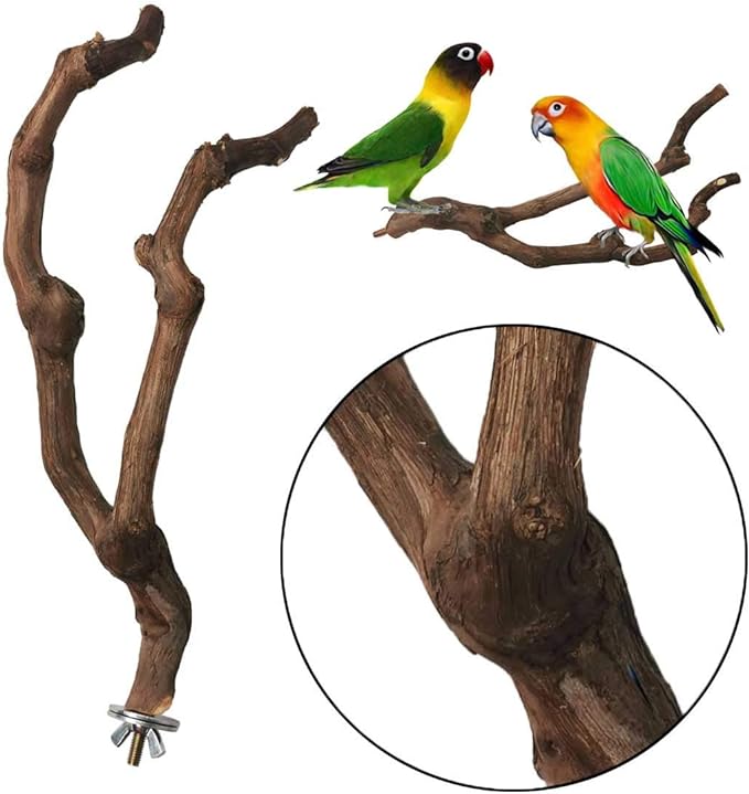 kathson Natural Parrot Perch Bird Stand Pole Wild Grape Stick Paw Grinding Fork Parakeet Climbing Standing Branches Toy Chewable Cage Accessories for Small Budgies Cockatiels Lovebirds 2PCS