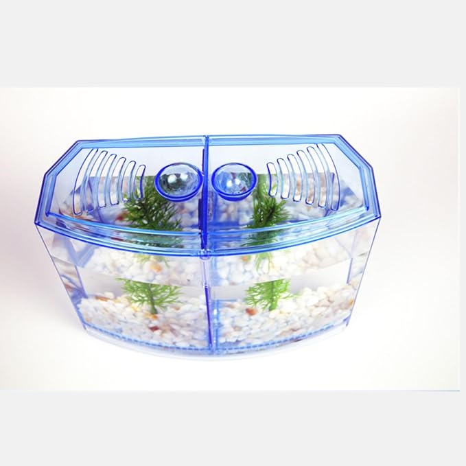 Saim Mini Fish Box, Acrylic Hatchery Incubator Tank Breeding Divider Tank Aquarium Isolation Box with 2 Divisions and Plant for Fish Breeding