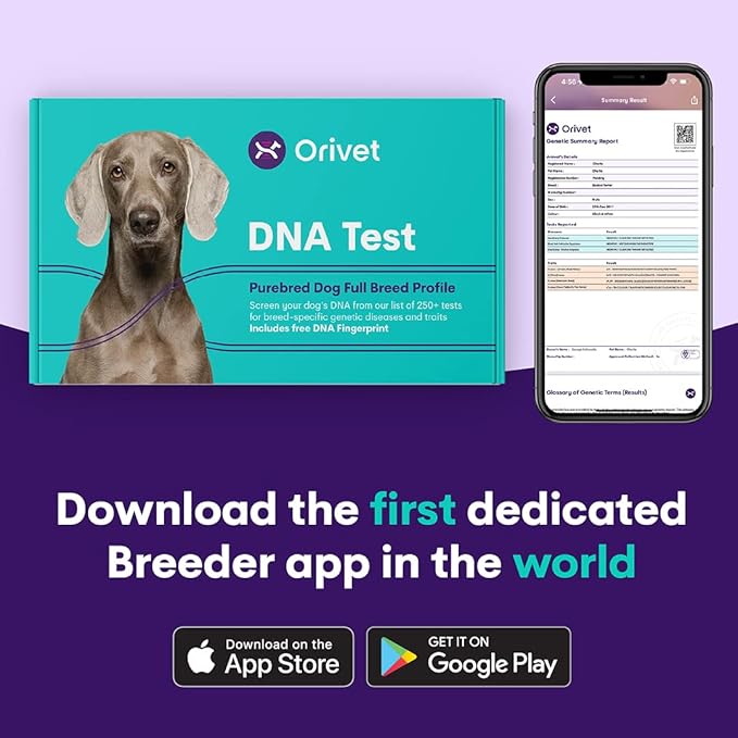 ORIVET Dog DNA Test Kit - Australian Shepherd Full Breed Profile | Puppy Testing Against 250 Medical Health Risks & Traits | Genetic Fingerprint & Wellness Plan | at Home Cheek Swab