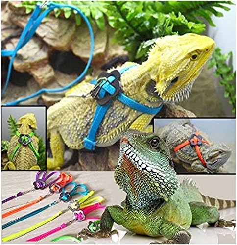 NT_Big Adjustable Reptile Lizard Harness Leash Adjustable Multicolor Light Soft Fashion