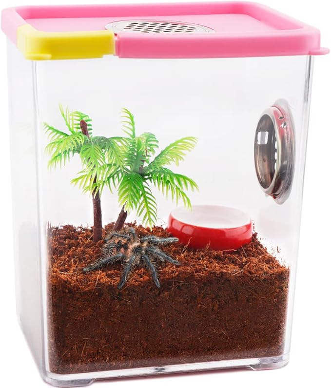 Spider Breeding Box Tarantula Transparent Feeding Box Hatching Container Insect Catcher Butterfly Habitat Cage(4.1" x 3.1" x 5.1")