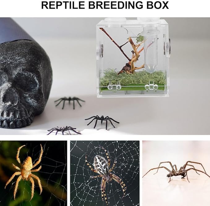 balacoo 4 Sets Jumping Spider Enclosure: Spider Cage Habitat Terrarium Micro Scorpion Droppers Reptile Hide Clear Jumping Enclosure Breeding Box Case with Breeding Tweezers Tank