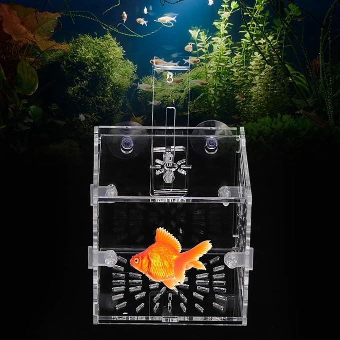 Aquarium Breeding Isolation Box, Transparent Acrylic Fish Isolation Box Fish Separator with Suction Cups for Small Baby Fishes Shrimp Clownfish Guppy(10CM*10CM*10CM)