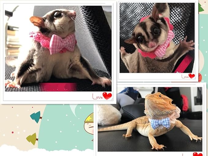 Lizard Clothes Bearded Dragons Blue White Plaid Bowtie with Elastic Lace Decor Handmade Stretchy Bowknot Collar Outfit Reptile Apparel Accessories Photo Gift Lizard Clothes for Leopard Reptile Gecko