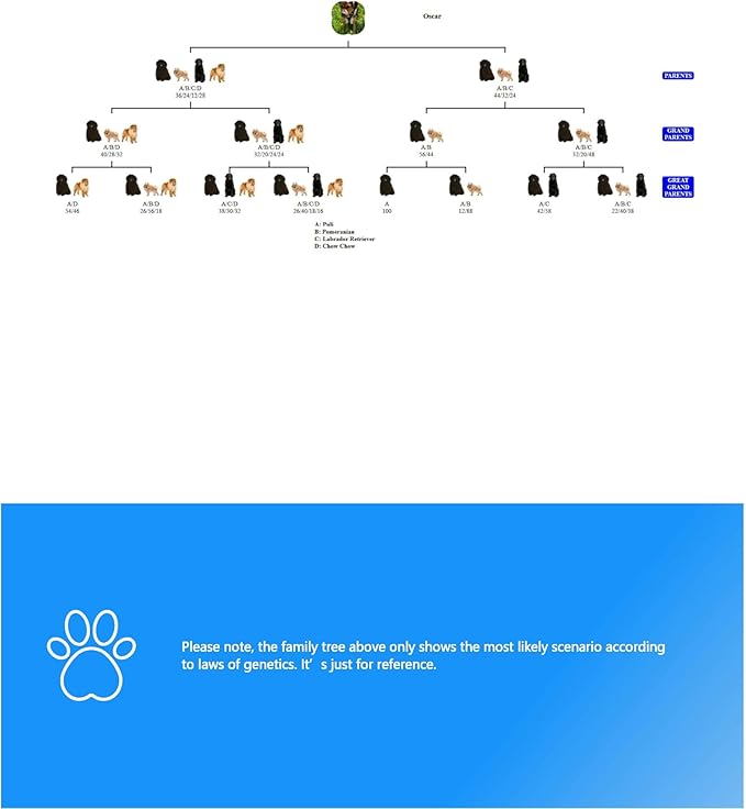 PetGen - Dog Breed, Health, Behaviour & Trait Identification Test Kit | at-Home Sample Collection Cheek Swab Kit | Full Genetic Test for Dogs| Results in 4 Weeks | No Extra Fees