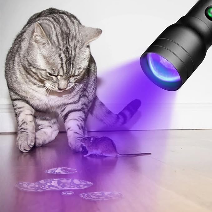 UV Flashlight USB C Rechargeable, 395nm Blacklight Flashlight, Zoomable Ultraviolet Pen Flashlight IP54 Pet Urine Detector for Cat Dog Stains, Scorpion, Bed Bug