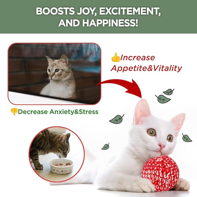 Active Catnip Spray - High Potency Transparent Liquid Spray made of Fresh Organic Catnip for Indoor Cats and Kittens, Relieves Stress, Calming, Revives Toys & Scratching Posts, Exercise (1fl oz)