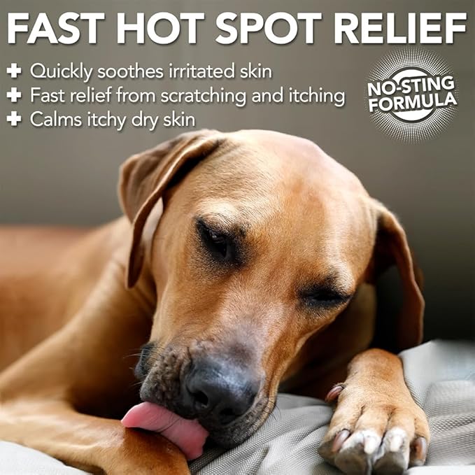 Vet’s Best Dog Hot Spot Itch Relief Spray | Relieves Dry Skin, Rash, Scratching, Licking, Itchy Skin, and Hot Spots | No-Sting and Alcohol Free | 16 Ounces