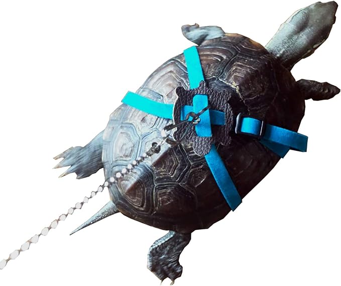 Vehomy Turtle leash Lizard Leash Tortoise Harness Strap Pet Collar Leash Tortoise Walking Lead Control Rope M