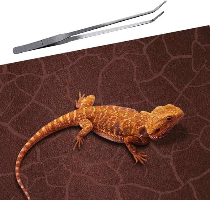 2 Pack Reptile Carpet Desert Reptile Mat & Reversible Substrate, Terrarium Liner Bedding, for Lizard,Chameleon,Gecko,Snake,Ceratophrys with Tweezers Feeding Tong (10 Gallon(21.5x11.5in))