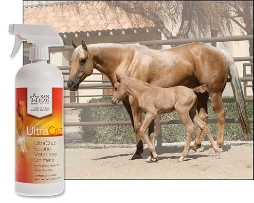 UltraCruz Veterinary Liniment Spray for Horses, 32 oz