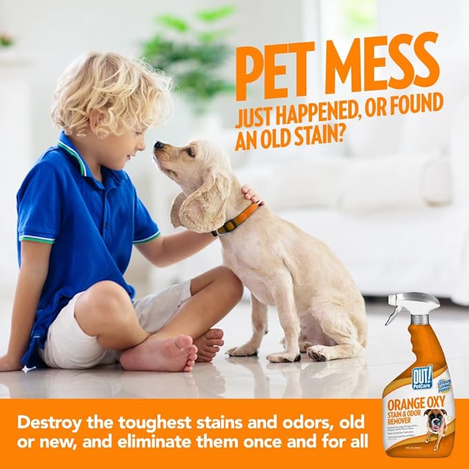 OUT! PetCare Orange Oxy Stain & Odor Remover | Oxy Clean Pet Stain and Odor Eliminator | 32 oz