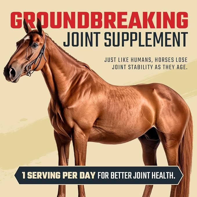 8 in 1 Maximum Strength Equine Joint Supplement - Joint Supplement for Horses - Glucosamine, MSM, Chondroitin, Turmeric, Hyaluronic Acid, Manganese, & Boswelia - 964g (30 Servings)