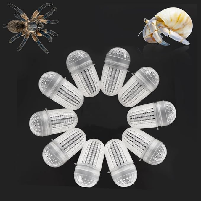 10 Pcs Spider Temporary Using Box Hermit Crab Transportation Breathable Packaging Box Plastic Carrier for Hermit Crab Tarantula Scorpion Millipede Spider Tiny Reptiles