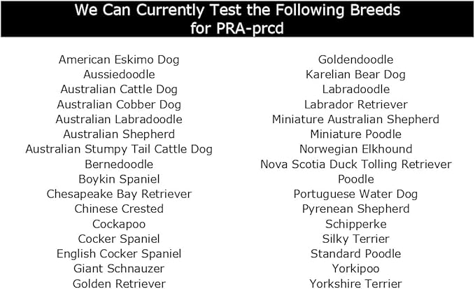 Dog PRA-prcd DNA Test | Home Sample Collection Kit for 1 Canine | Puppy Progressive Retinal Atrophy Test Kits | Results in 7 Working Days | A Complete Kit with No Extra Fees