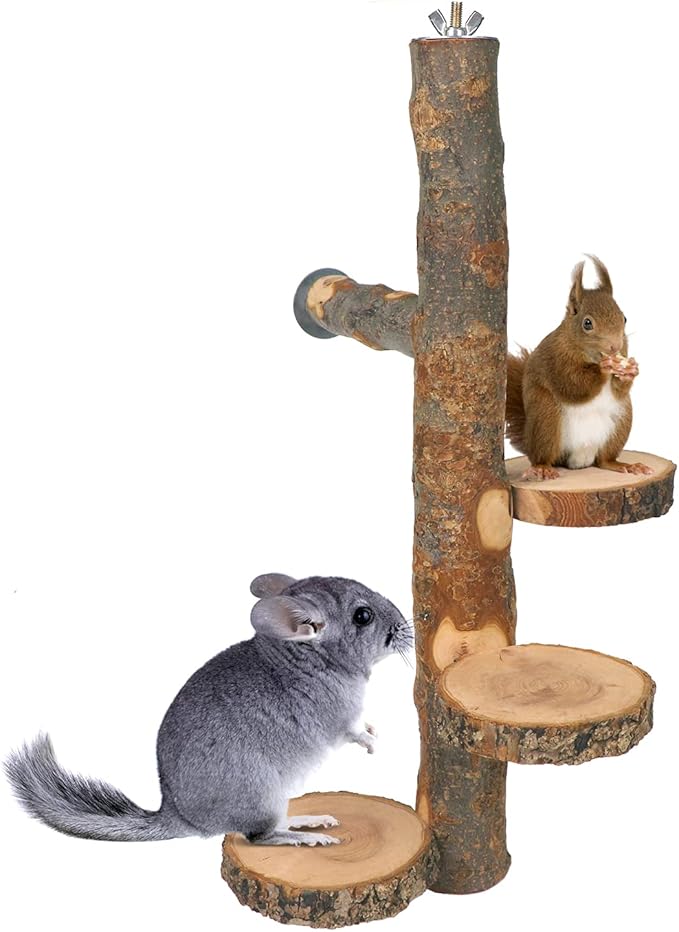 Chinchilla Large Hanging Wooden Rotating Platform - Small Animals Natural Fruit Wood Standing Platform - Squirrel Suger Glider Platform - Bird Perch Platform