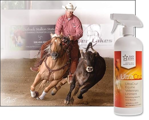 UltraCruz Veterinary Liniment Spray for Horses, 32 oz