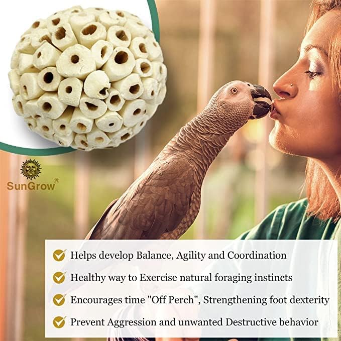 SunGrow Sola Atta Foraging Balls, 2”, White Soft Shred Parrot Chews, Bird Chewing Accessories for Conure, Budgie, Parakeet, Cockatiel, Rabbits, Hamsters, and Other Small Pets, 6 Pcs/Pack