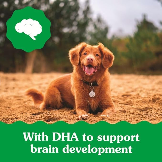 Greenies Puppy Regular Size Natural Dental Dog Treats, 6 oz. Pack (6 Treats)