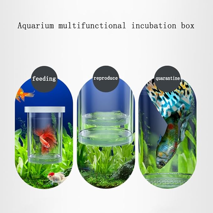 Aquarium Fish Tank Hatchery Incubator Breeding Box, Fish Spawning Room Breeding Box with Layering Breeding Tank Baby Fishes Shrimp Clown Fish 5.1 * 3.9 * 3.9 inch