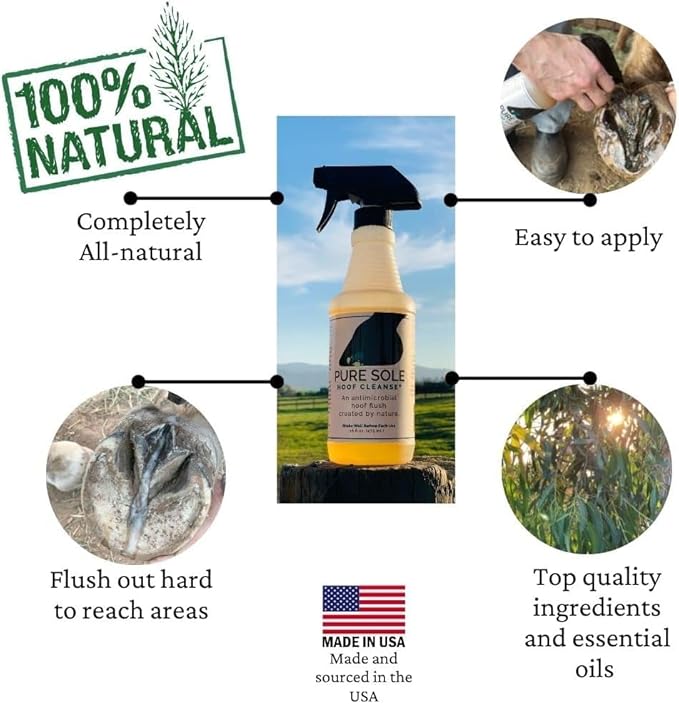 Horse Hoof Cleaner, Thrush and White Line Treatment for Horses, Hoof Cleanse, All Natural Horse Hoof Care Products to Maintain A Healthy Hoof