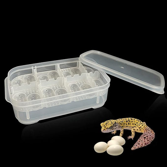 14 Grids Reptile Breeding Box, Egg Hatching Incubator Reptile Incubator for Hatching Egg, Snake, Lizards, Turtle, Lions Mane, Gecko Without Thermometer