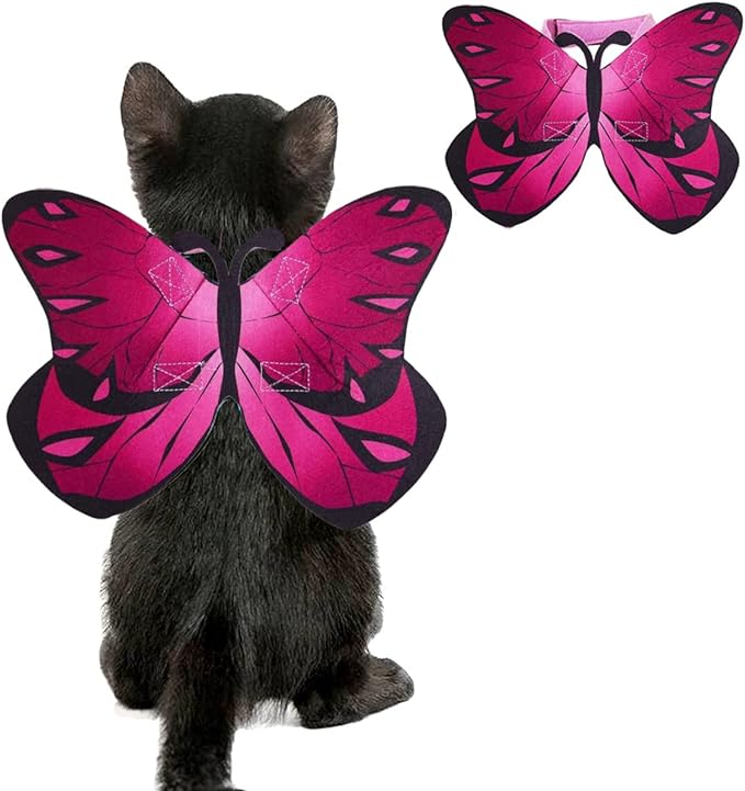 Pet Cat Bat Wings for Halloween Party Decoration, Puppy Collar Leads Cosplay Bat Costume,Cute Puppy Cat Dress Up Accessories