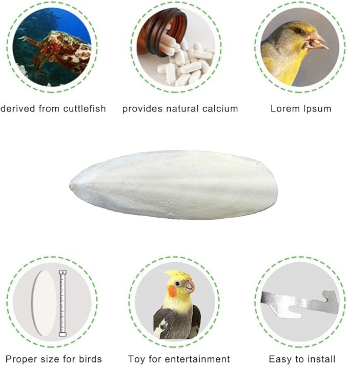 Natural Cuttlebone for Birds Parakeets Canaries Cockatiels Small Conures Mynahs Toucans African Greys All Parrots Snails Totoise, with Holder for Bird Cage (3.9-4.5",2PCS)