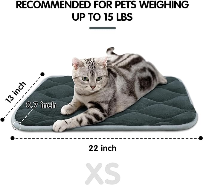 furrybaby Dog Bed Mat Flat Crate Mat with Anti-Slip Bottom Machine Washable Pet Kennel Pad for Dog Sleeping (XS 22x13'', Grey Mat)