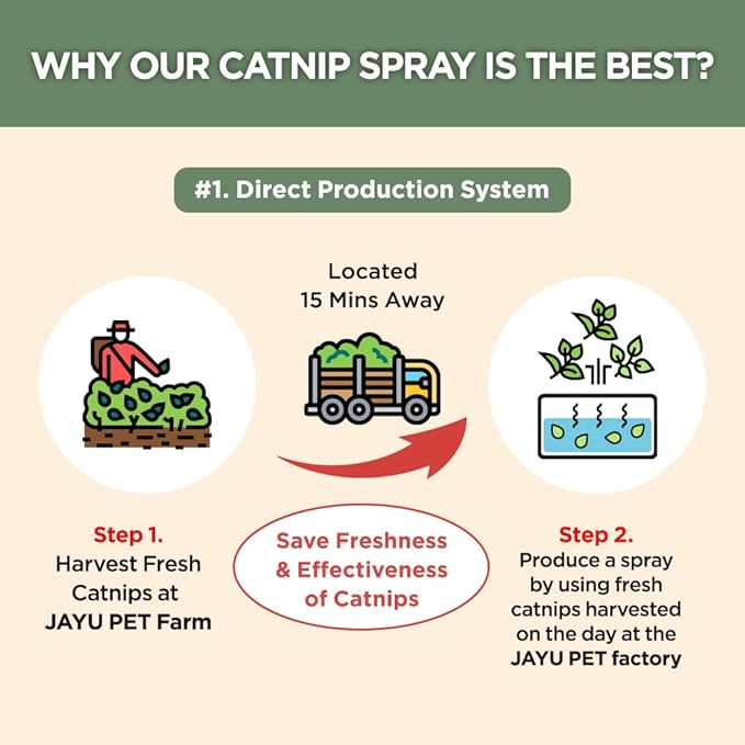 Active Catnip Spray - High Potency Transparent Liquid Spray made of Fresh Organic Catnip for Indoor Cats and Kittens, Relieves Stress, Calming, Revives Toys & Scratching Posts, Exercise (1fl oz)