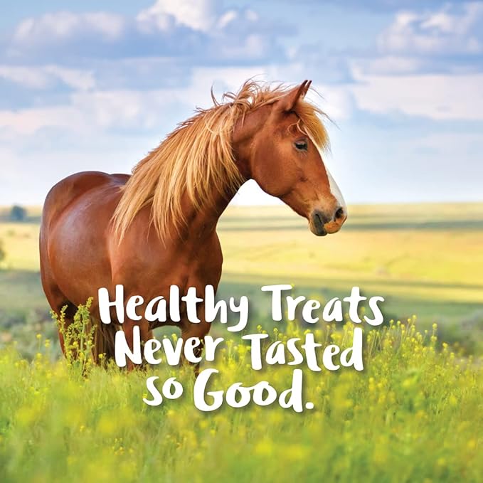 Manna Pro Nutrigood FruitSnax Horse Treats | Tasty Horse Treats Packed with Superfoods and Real Fruit Pieces | BerryMint + Oats Flavor | 2 Pounds