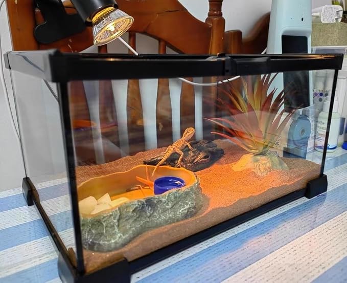 Mini Reptile Glass Terrarium Tank, cage for Tarantula Sling Geckos, Frog, Lizards, Chameleons,Turtles Snake Snail Insect Hermit Crab Isopods Reptiles Enclosure (12x8x6inch)