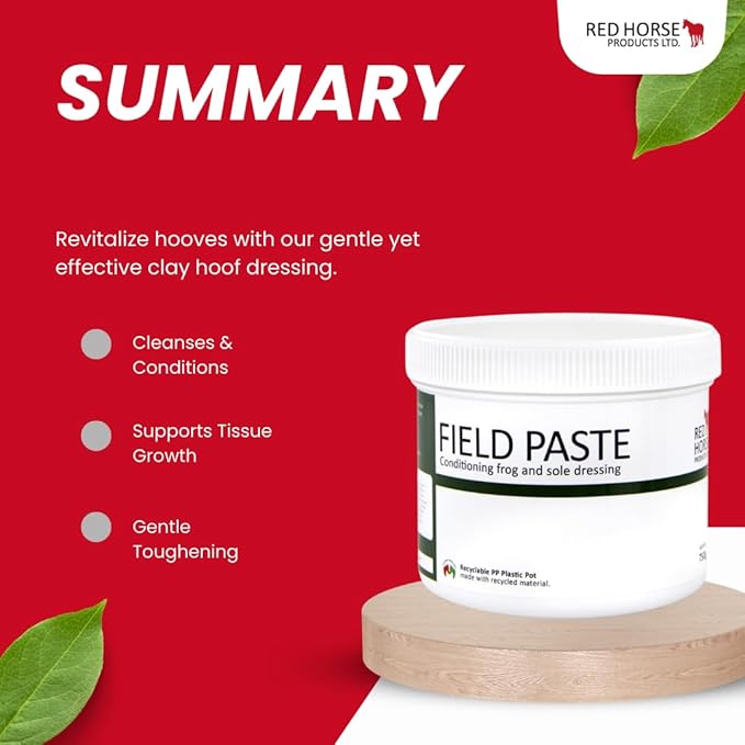 FunDADYUS Red Horse Products LTD. Field Paste Antifungal Sole Dressing 500ml