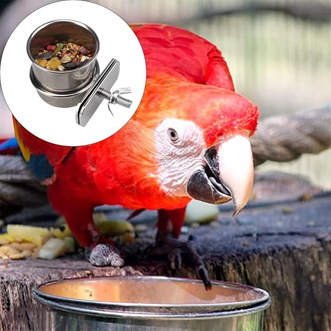 2 Pcs Parrot Feeding Cups Birds Food Dish Parrot Bowl Stainless Steel Parrot Feeding Cups Sturdy Water Bowl Bird Feeding Dish Suitable for Parrots or Other Birds Bird Feeding Dish (S-1.73in/2.17in)