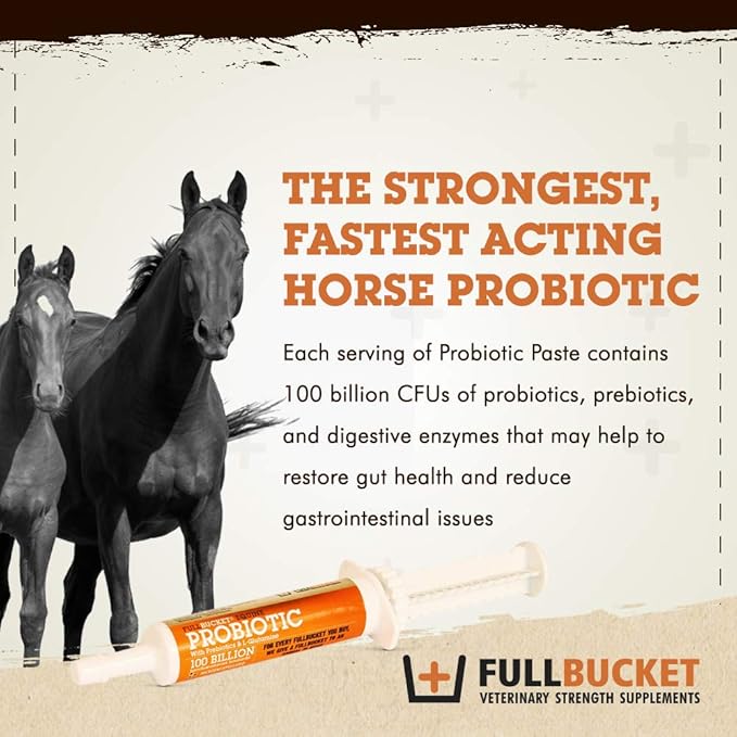 Equine Probiotic Paste with Saccharomyces Cerevisiae Boulardii for Daily Digestive Optimization; Concentrated Formula with 100 Billion CFUs, 1 Tube