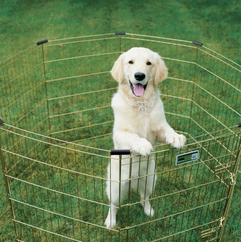 MidWest Homes for Pets Foldable Metal Dog Exercise Pen / Pet Playpen, Gold zinc w/ door, 24'W x 30'H, 1-Year Manufacturer's Warranty