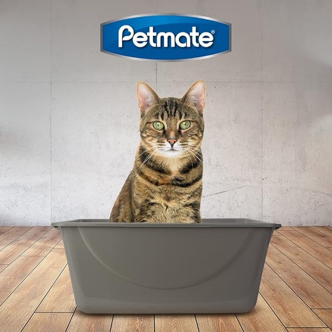 Petmate Open Cat Litter Box, Extra Large Nonstick Litter Pan Durable Standard Litter Box, Mouse Grey Great for Small & Large Cats Easy to Clean, Made in USA